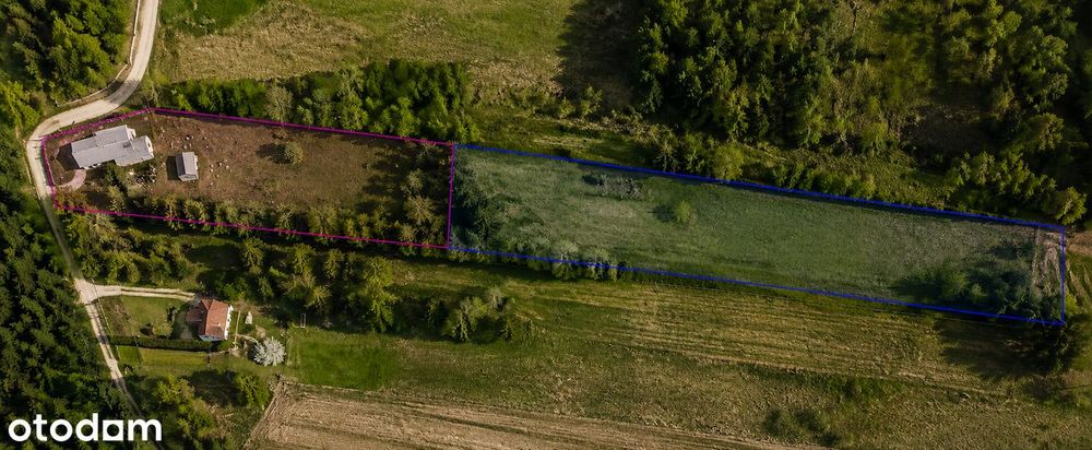 Siedlisko z dużą działką pod Ostrołęką–cisza i potencjał inwestycyjny!