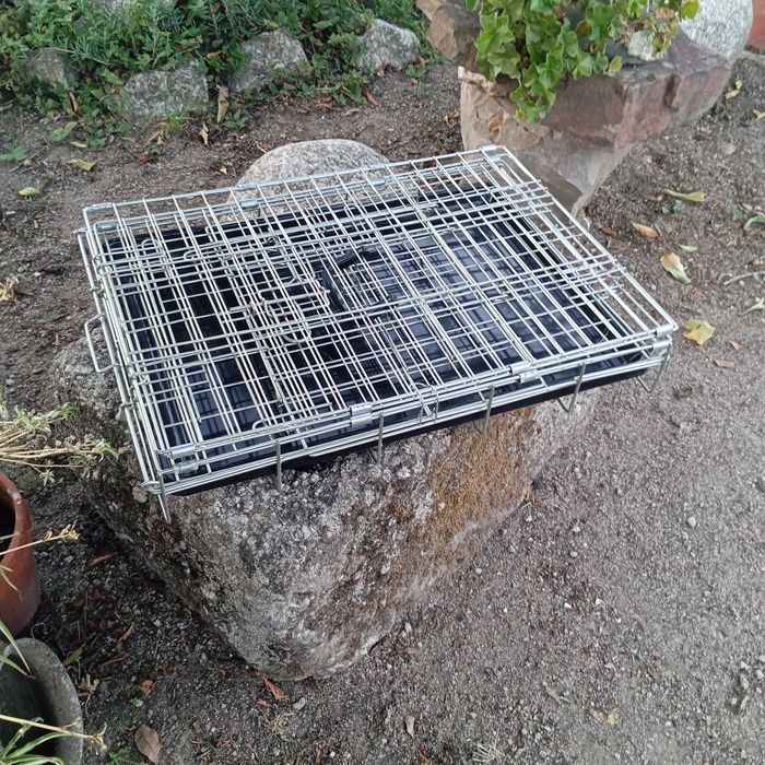 Jaula metálica para cão