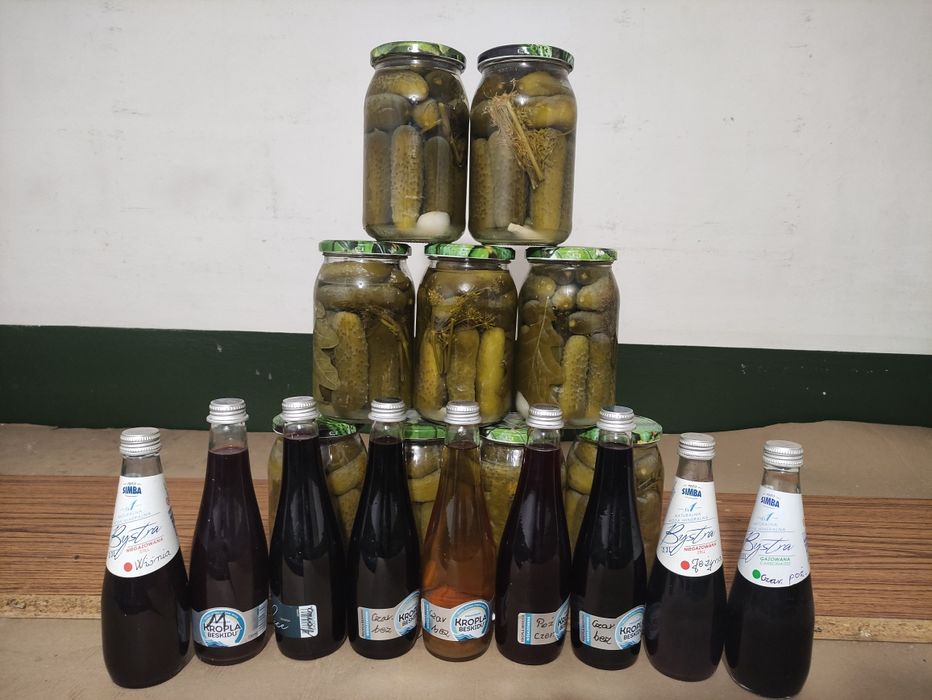 Ogórki kiszone domowej roboty z własnej działki