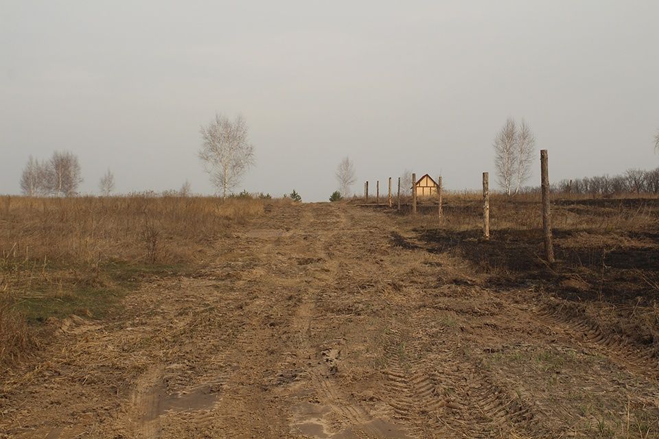 с. Озера, Бучанський район, 12 соток, за участок
