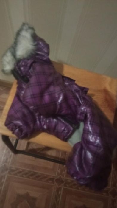 Комбінезон для собак.