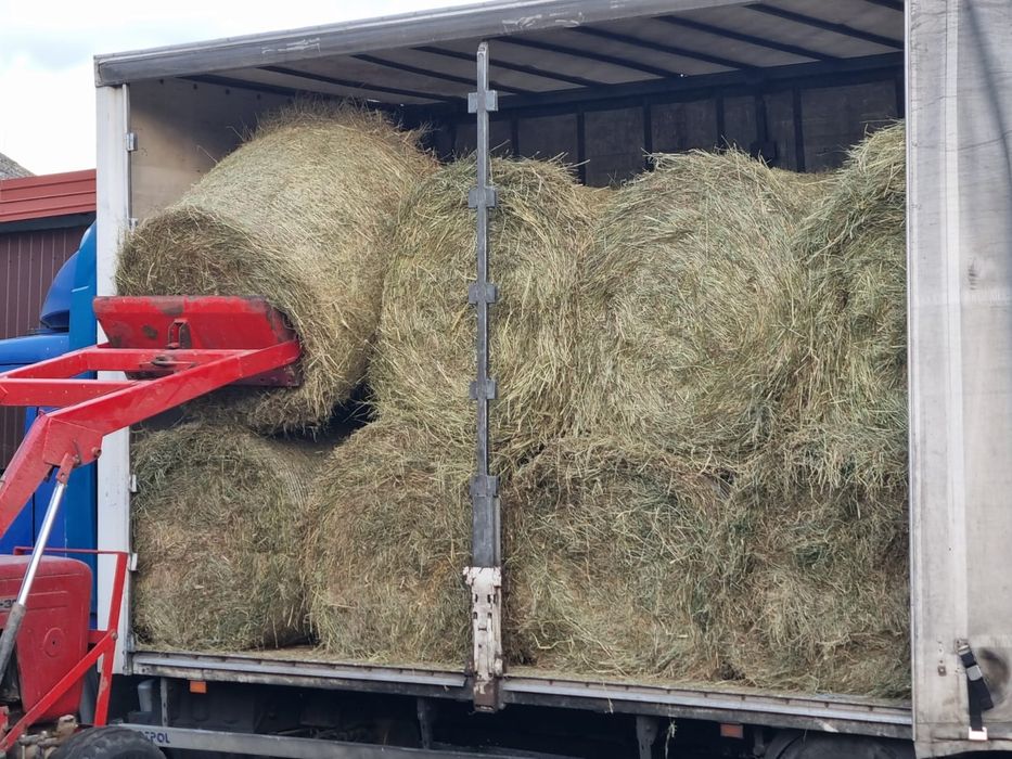 Siano w balotach na sprzedaż – wysoka jakość + transport