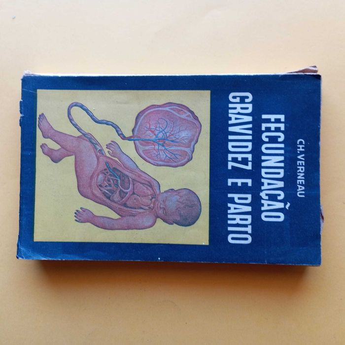 Coleção de Livros Mistos - Autores Variados - Conjunto 27