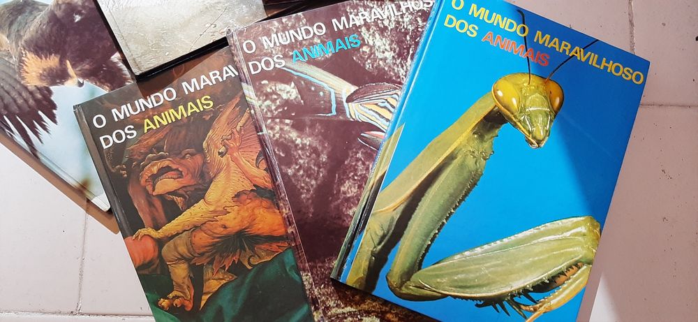 Coleção de 6 livros