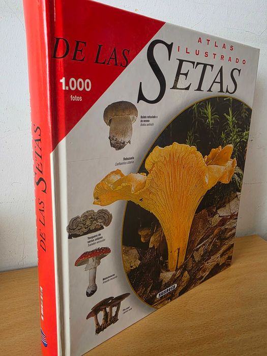Livro "Atlas Ilustrado de las Setas" de Jean-Louis Lamaison