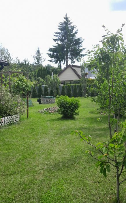 Działka ROD im. E.Plater na sprzedaż - Widok 5