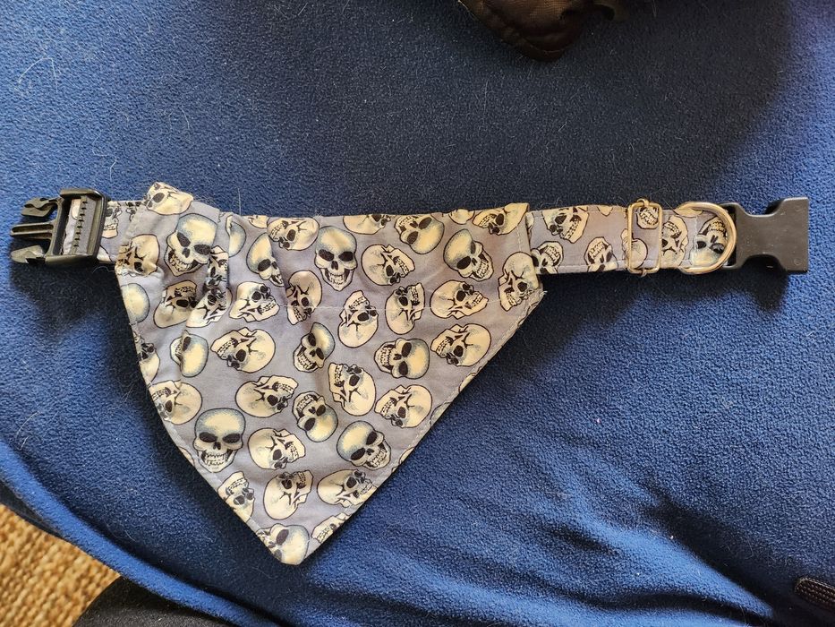 Coleira com caveiras - tamanho M