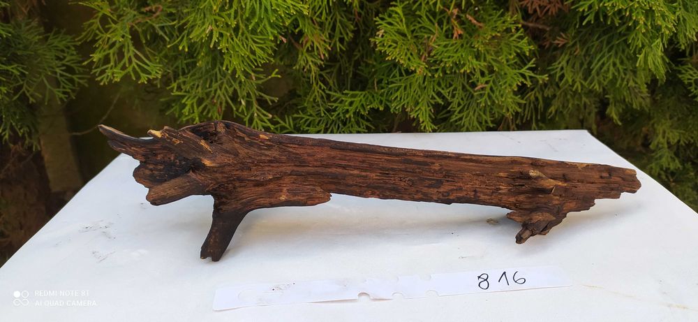 Korzeń do akwarium 38cm   816
