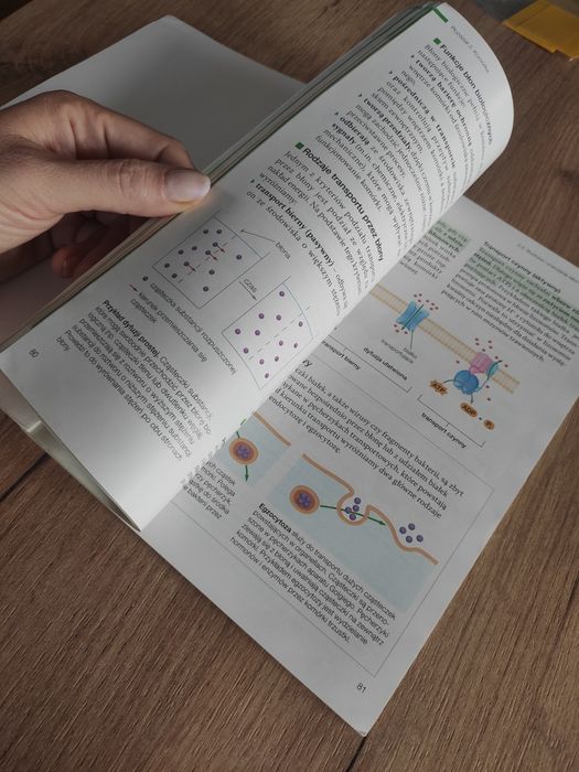 Biologia na czasie 1 zakres podstawowy