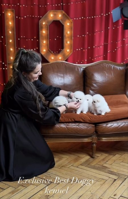 Білі SUPER VIP міні цуценята  померанські шпіци ведмедики з документам