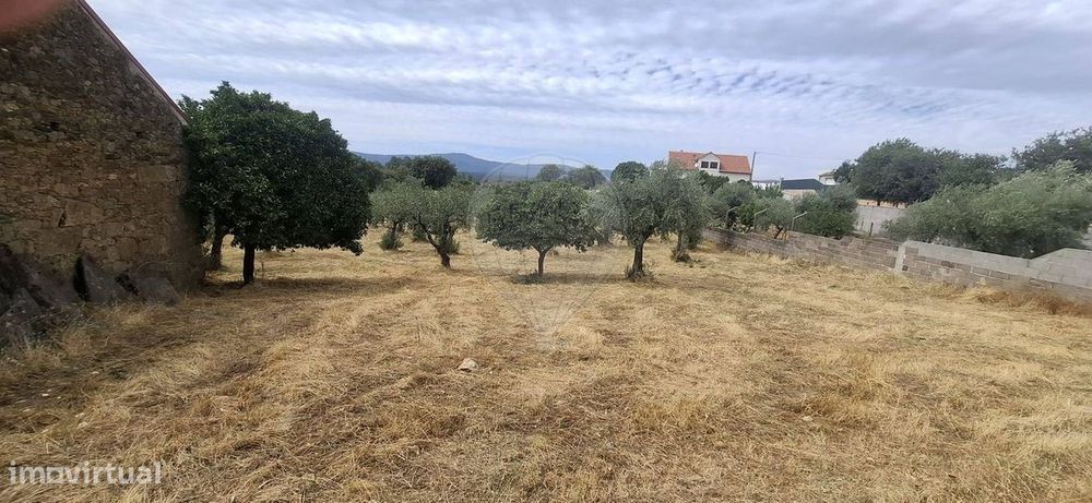 Terreno  para venda — Salgueiro do Campo, Castelo Branco