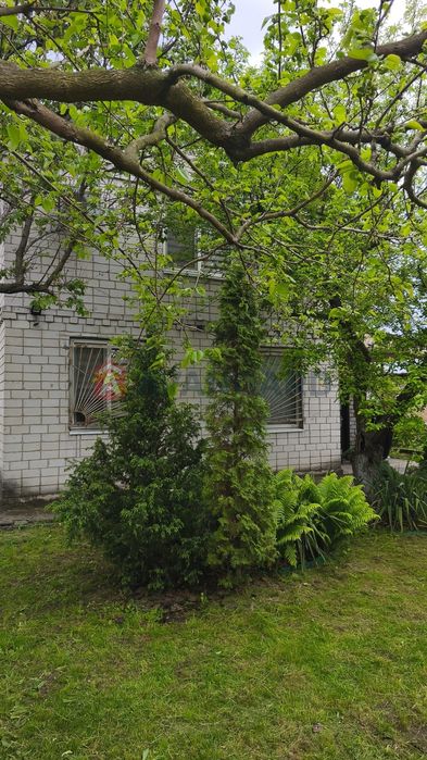 Продам будинок - дачу ст Хімбудівельник