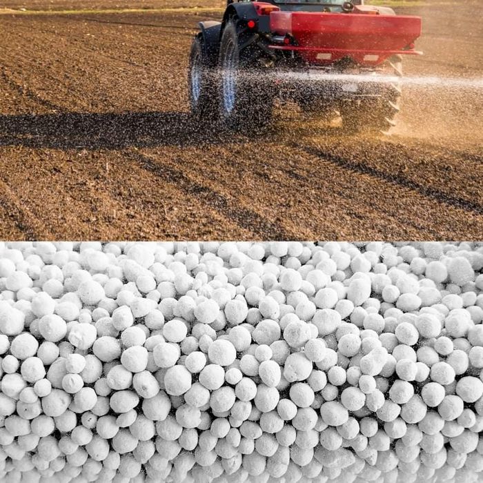 Wapno ,Kreda 98% , wapno magnezowe , czarna kreda z humusem