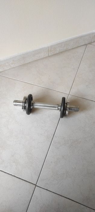 Bohinger Dumbbells with Discs64176777264515121