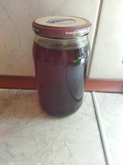 Miód spadziowy iglasty