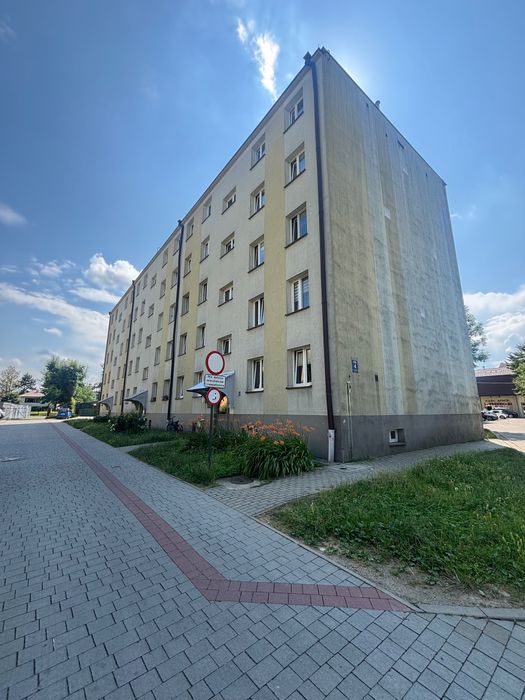 Mieszkanie do wynajęcia