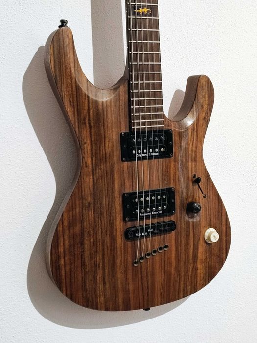 Guitarra Mayones Setius GTM Lizard Custom
