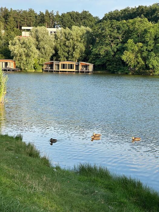 Продажа Дом дача в Крюковщине