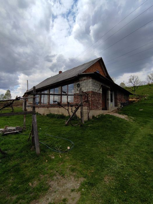 Продається будинок в с. Бедевля