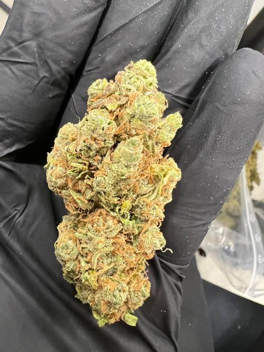 Susz cbd PREMIUM 1:1