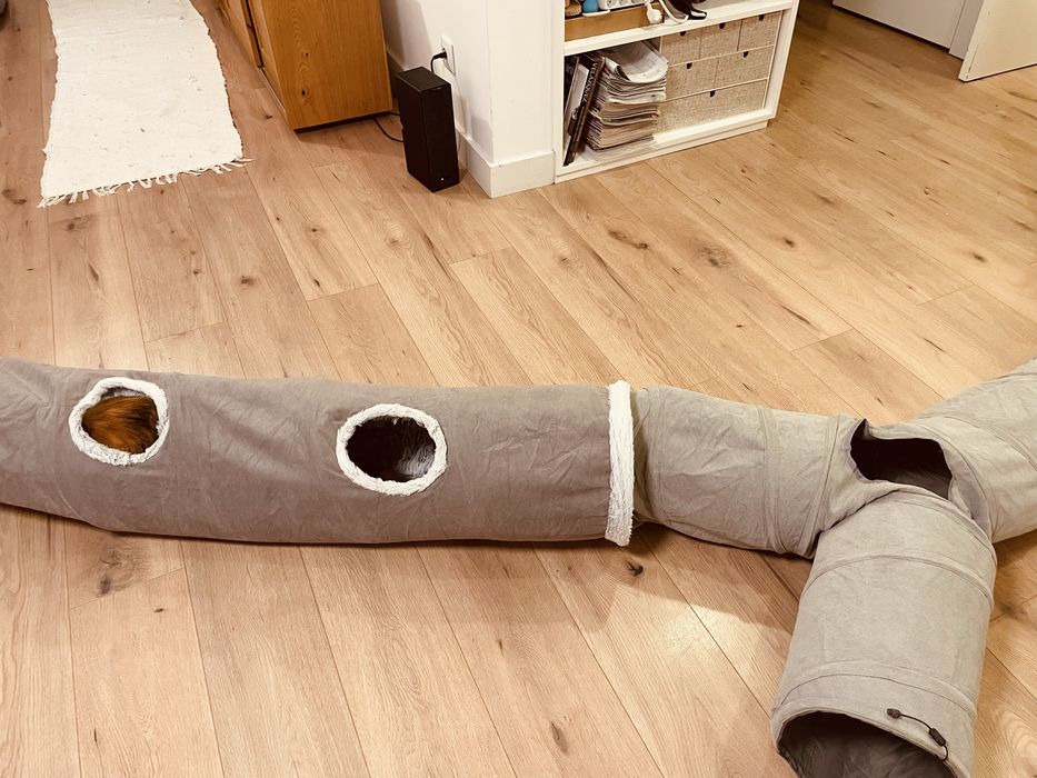 Conjunto de 2 túneis para gatos