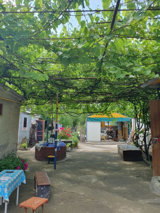 Продаётся 2 дома в Большой Коренихе, первая половина!