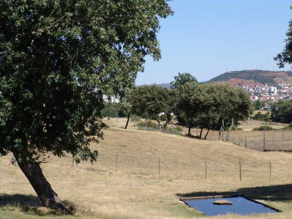 QUINTA_Bragança_Donai
