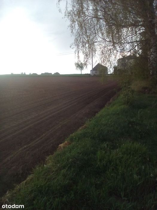 Dzialki budowlane.