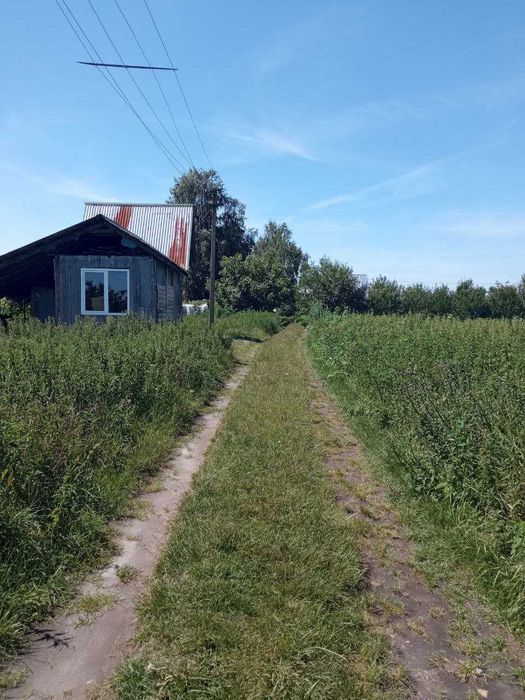 Продаж ділянки для душі поблизу села Гамаліївка!