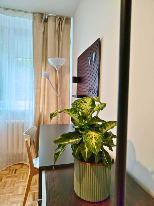 Mieszkanie – Wrocław - Widok 4
