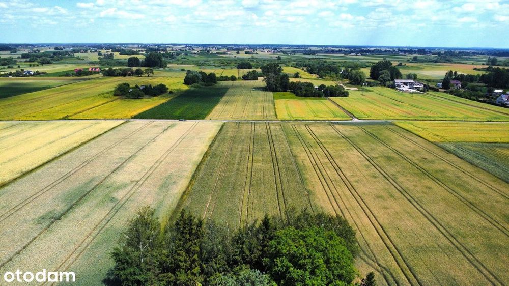 Działka, Jacków