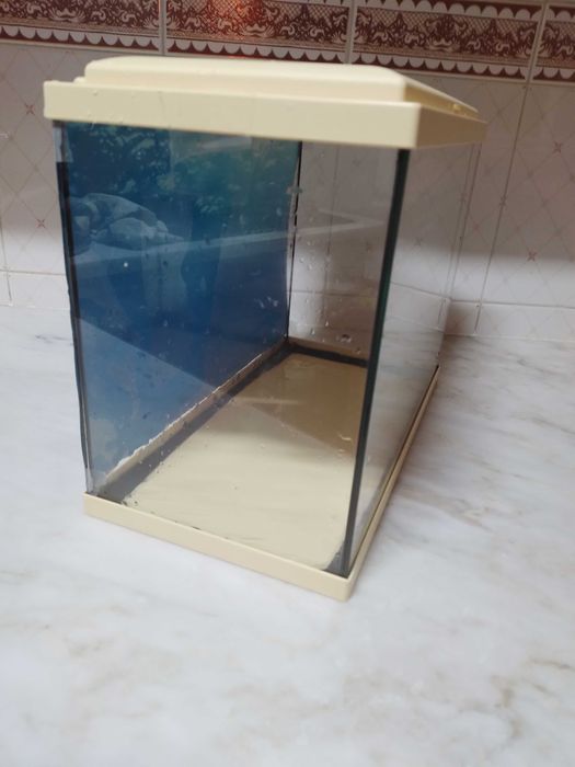 Aquário 20L como novo