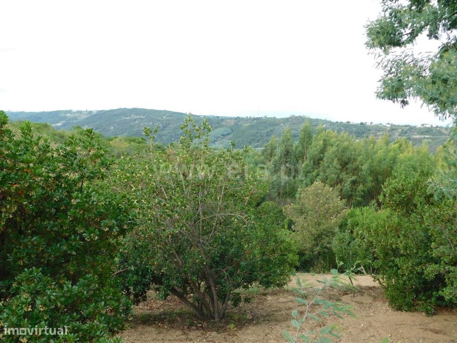 Terreno / Seia, Vila Cova à Coelheira