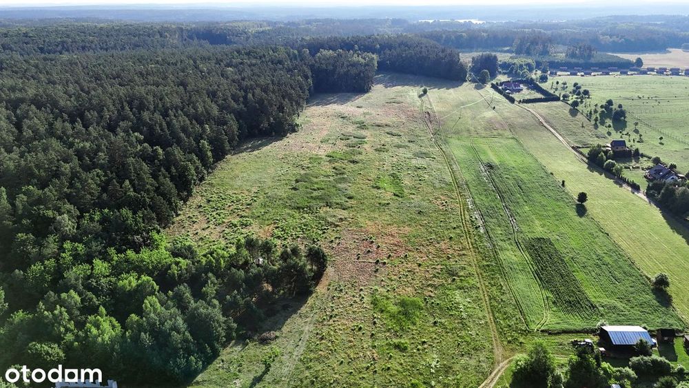Działka, Wynki