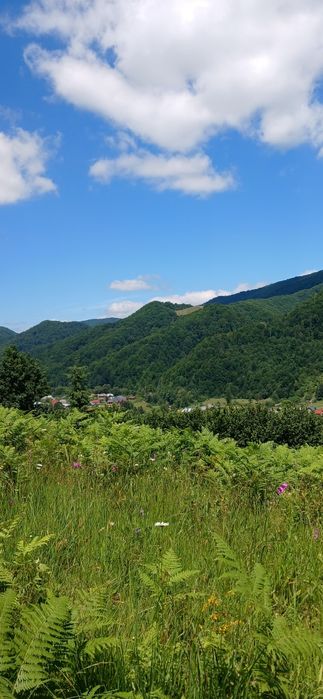 Земля під туристичний комплекс + проектна пропозиція
КОМПЛЕКСУ «ШЕШОР
