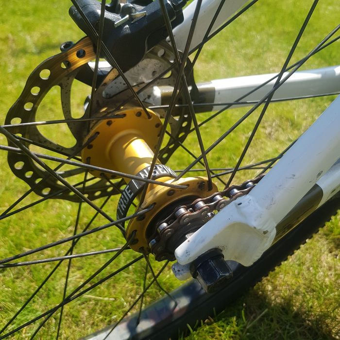 Rower dirt  ns movement 3