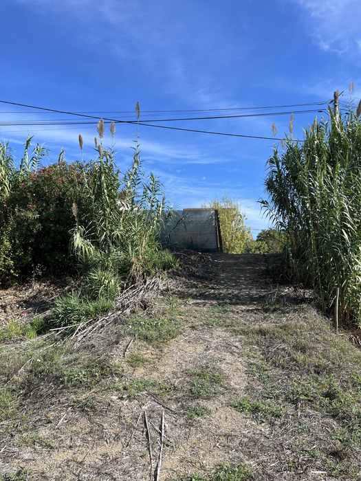 Terreno Torres Novas