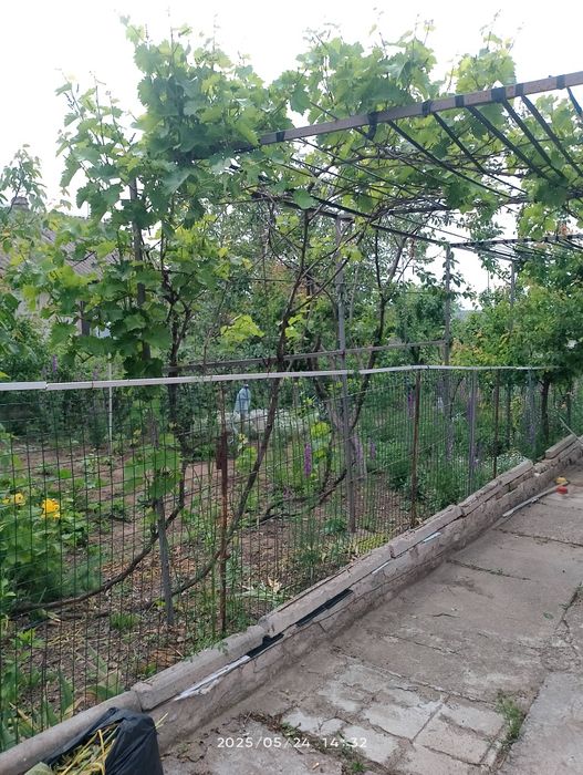 Продаю власний будинок в селі Михайло-Ларине