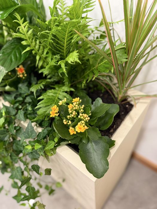 Floreira Moderna com Plantas Naturais