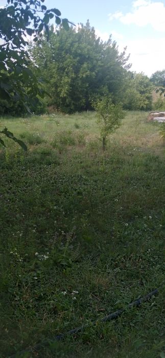 Продам дом в селе Ковяги Валковский район
