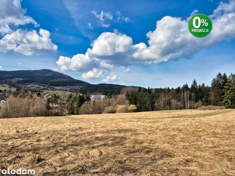 Działka zagrodowa 4279 m² | Kasina Wielka | widok na Lubogoszcz