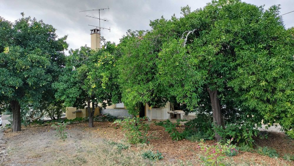 Moradia T3 em Torre - Louriçal do Campo