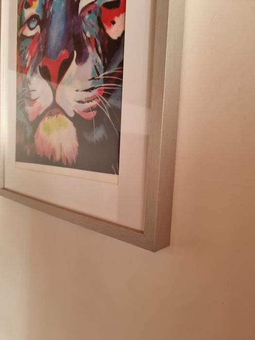 Quadro leão colorido