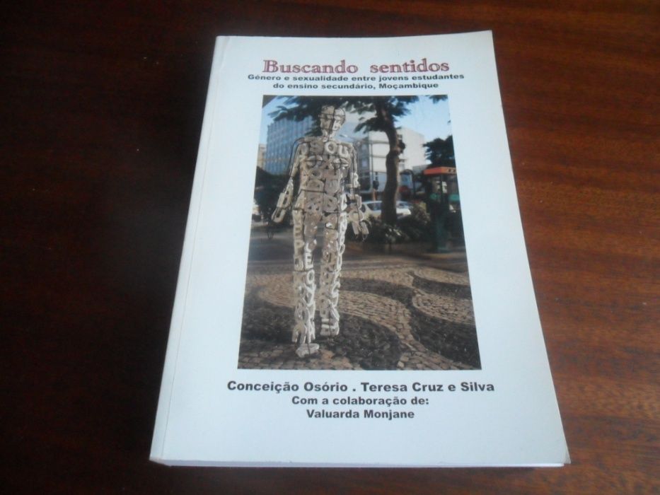 "Buscando Sentidos" de Conceição Osório e Teresa Cruz e Silva