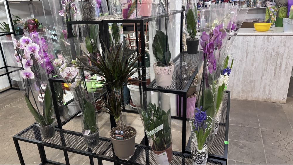 Стелаж для квітів / Підставки для квітів / Меблі для квіткового