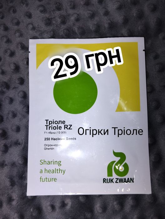 Насіння Нідерланди, голландське