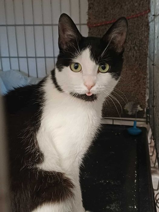 kto mnie przygarnie?