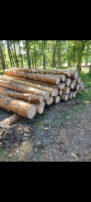 Wycinka drzew lasu skup drewna mulczer pilarz drwal karczowanie