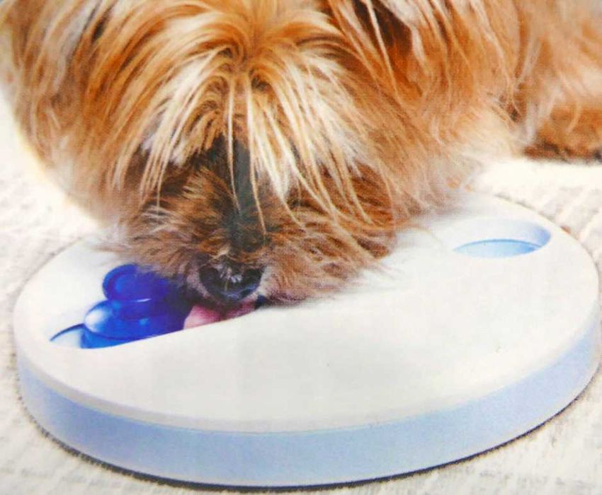 Interaktywna zabawka kółko na przysmak dla psa NOWA