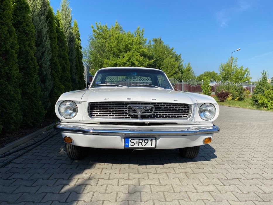 Ford Mustang coupe 3.3 R6; 1966r; po kapitalnej odbudowie